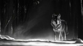 Wolf im Nebel der Nacht von Poster Art Shop