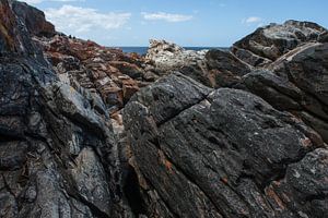 Hoog op de rotsen