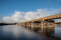 Nut well bridge 's-Hertogenbosch
