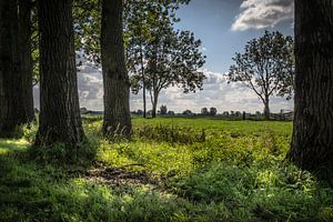 Hollands polderlandschap bij Langerak