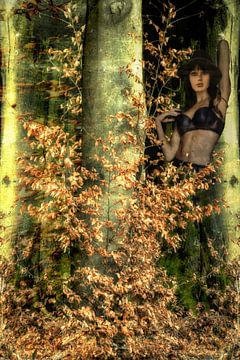 Fata Morgana im Herbstwald von Christine Nöhmeier