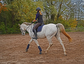white horse and rider training on a riding arena