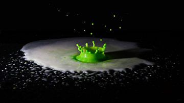 the crown by Carolien Lichtendonk