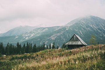 Hütte in den Bergen von Patrycja Polechonska