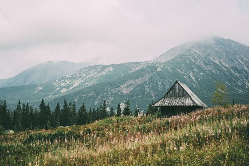 Cabin in the mountains by Patrycja Polechonska