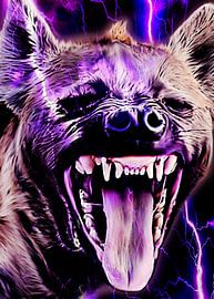 Hyäne Brüllender Blitz Gewittersturm