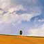 Landschaftsfotografie