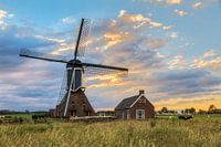 Hollands landschap met molen