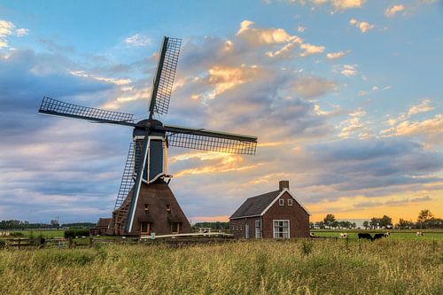 Dutch landscape with windmill by Dennis van de Water