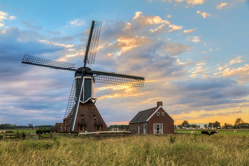 Paysage néerlandais avec moulin à vent par Dennis van de Water