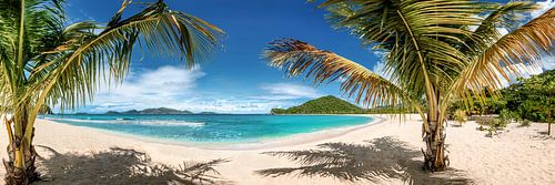 Tropical Caribbean beach by Voss photography
