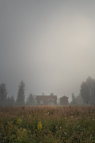Morgennebel in der schwedischen Wildnis – Vertikaler Fotodruck einer roten Blockhütte in Värmland