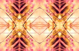 PINK SPANGLES no9-R1L sur Pia Schneider