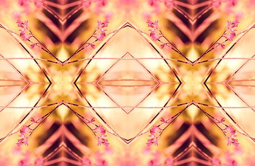 PINK SPANGLES no9-R1L