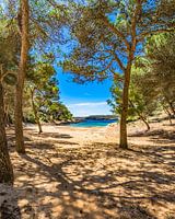 Vue magnifique sur la baie idyllique de Calo de sa Barca Trencada