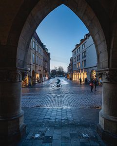 Belangrijkste markt Münster van Steffen Peters