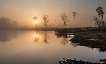 Kalter Dezembermorgen.