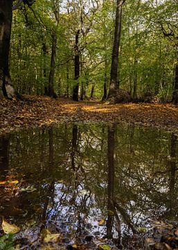 Herfstbos reflecteert in een waterplas van Bram Lubbers