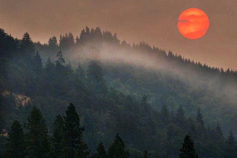 Jones Fire by Walljar