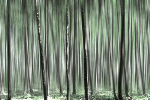 Wald in schönen Grüntönen