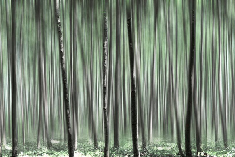 Wald in schönen Grüntönen von Miranda van Hulst