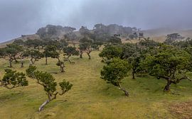 Het uitzicht van een drone... by Peter Korevaar