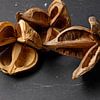 Three dried star anise pods on a black table top. by Babetts Bildergalerie