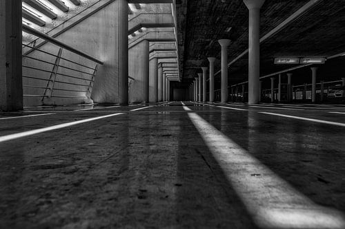 Parking Lines zwart/wit