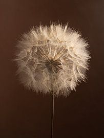 Natuurlijk chic - Warme bruintinten uit de natuur van Marjolijn van den Berg