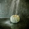 Pumpkin in water by Marion Kraus