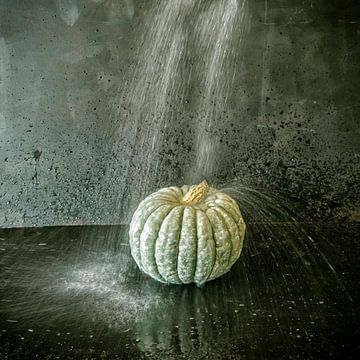 Pumpkin in water