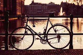 Fiets bij de Hofvijver