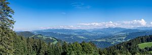 Berglandschap in de Vorarlberg Alpen in Oostenrijk tijdens de zomer van Sjoerd van der Wal Fotografie
