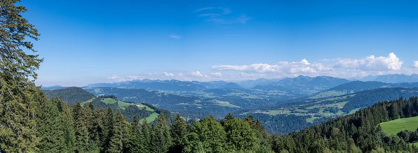 Mountain landscape in the Vorarlberg Alps in Austria during summer by Sjoerd van der Wal Photography