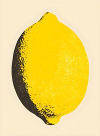 Stylised lemon by drdigitaldesign