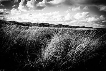 Callantsoog | Dune ondulante en noir et blanc | Photographie de nature