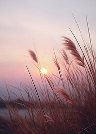 Golden hour