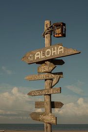alohabeach at oostkapelle by anne droogsma