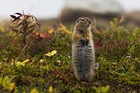 On high alert
