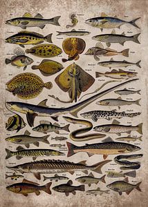 Vintage Fish