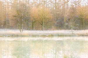 Winterse reflecties van Karla Leeftink