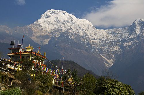 Buddhist monastery and snowy mountains