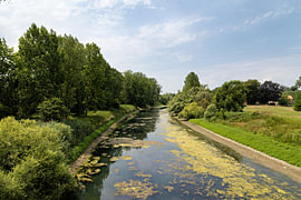 Flusslandschaft im Naturschutzgebiet Kühkopf, Hessen von Andreas Freund