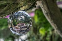 Park in glazen bol