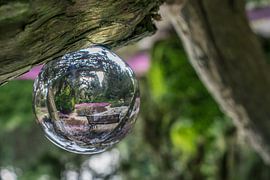 Park in glazen bol by Paul De Keizer