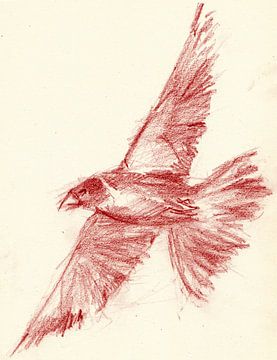 Roter Vogel