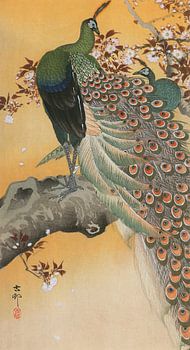 Ohara Koson - Kersenbloesems en pauwen (bewerkt)