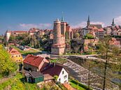 Blick auf die Altstadt von Bautzen in Sachsen von Animaflora PicsStock Miniaturansicht
