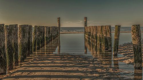 groynes at domburg