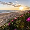 Sonnenuntergang am Sandstrand Praia da Falésia. Klippen Pinke Blumen bei Albufeira, Portugal von Fotos by Jan Wehnert